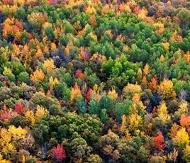 fall in the hills of Vermont